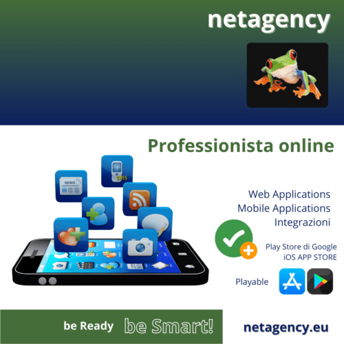 netagency professionista online