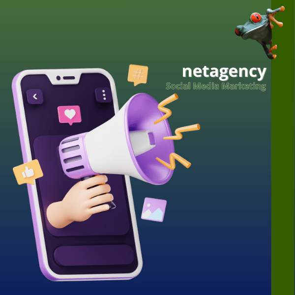 Social Media Management
