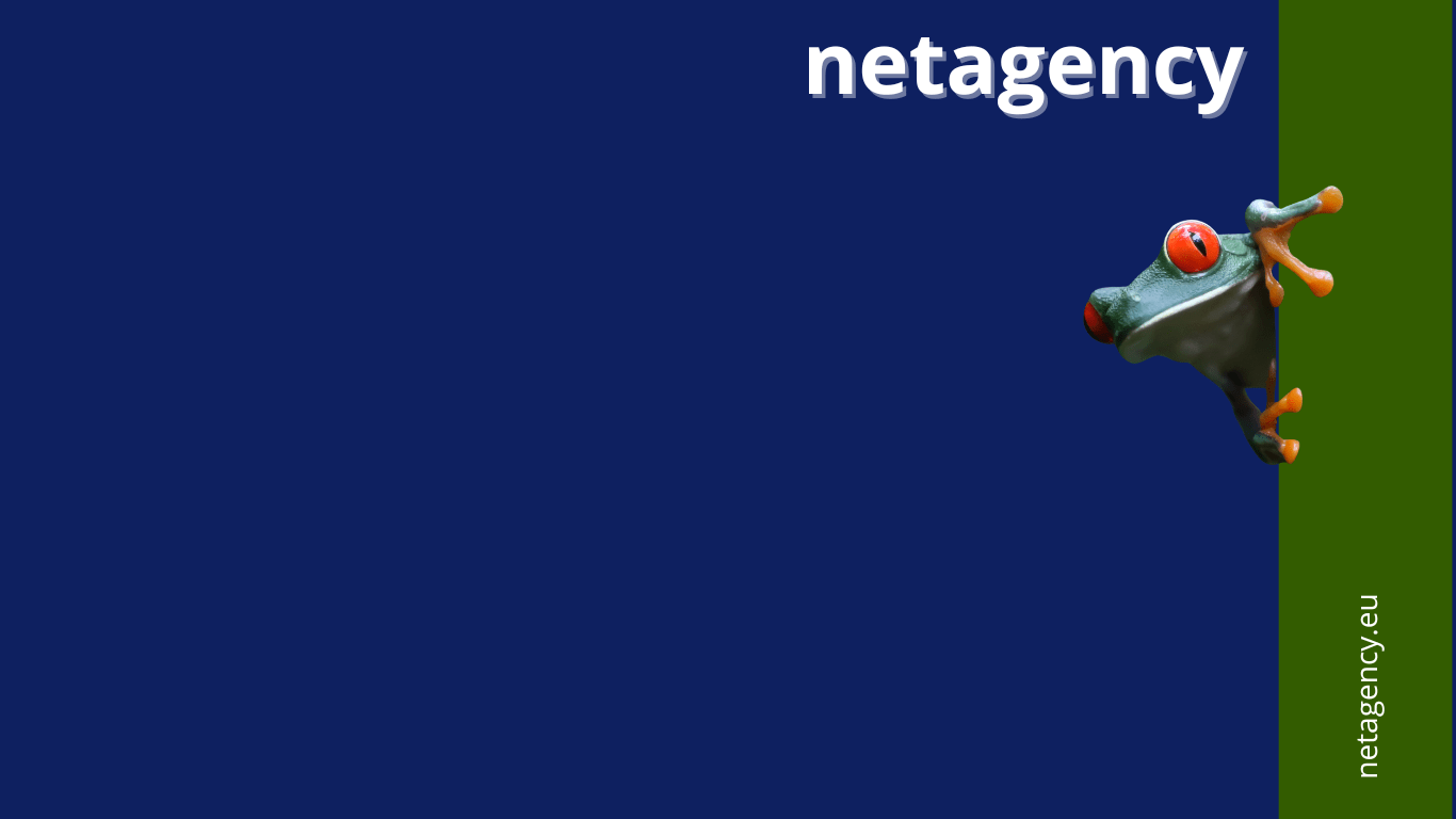 netagency image