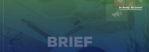 netagency consulenza brief