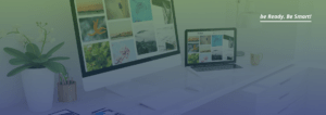 netagency servizi web