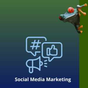 social media