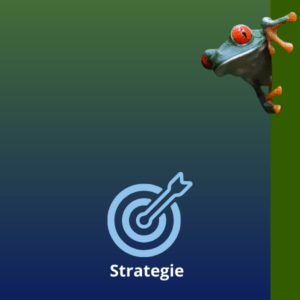 netagency soluzioni