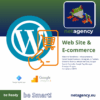 Azienda Digitale Netagency offerta